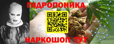 гидропоника Пенза