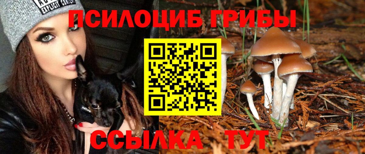 Псилоцибиновые грибы прущие грибы  Вход с VPN  Галлюциногенные грибы мицелий  Светлоград 